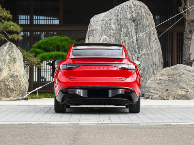 Luxeed R7 Фото №5